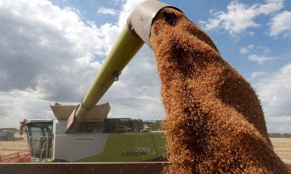 Khủng hoảng ngũ cốc: Lỗi của Ukraina hay Nga?