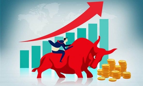 Bull market là gì? Những điều cần biết về Bull market