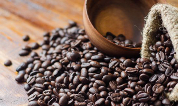 Dự báo giá cà phê giảm trong ngắn hạn