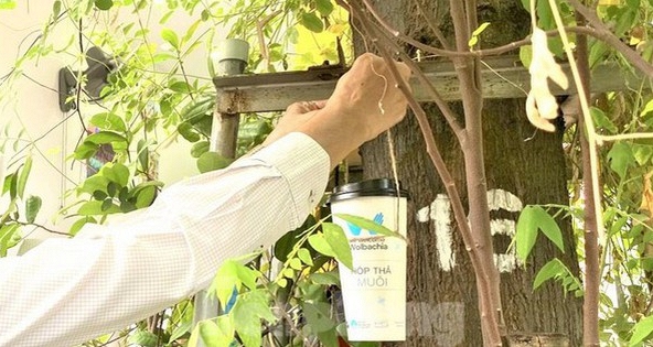 Bình Dương tiêm 'vaccine' cho muỗi để phòng chống dịch sốt xuất huyết