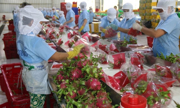 Xuất khẩu nông lâm thủy sản nửa đầu năm 2022 đạt 27,88 tỷ USD