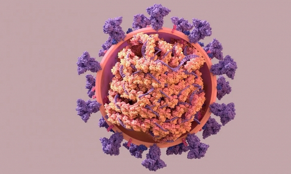 Người nhiễm biến chủng BA.5 có triệu chứng gì?