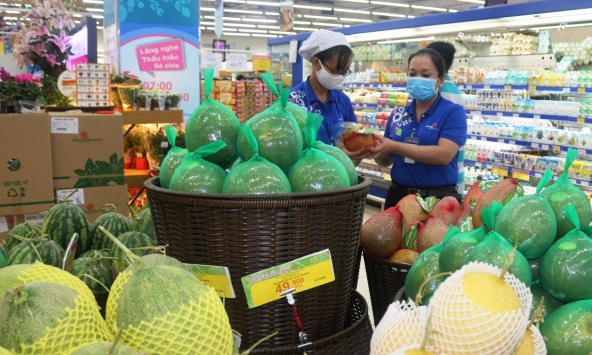 Bưởi da xanh miền Tây được giá