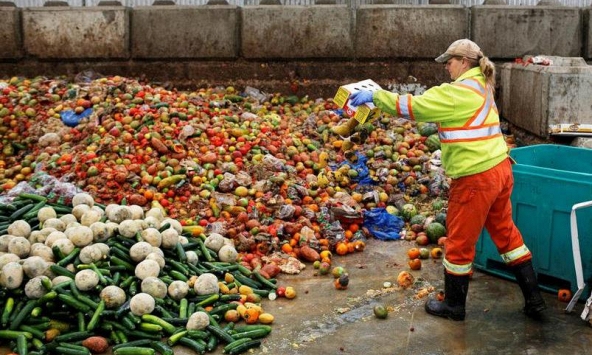 Cách sử dụng thực phẩm 'vô tội vạ' của con người đang hủy hoại Trái đất?