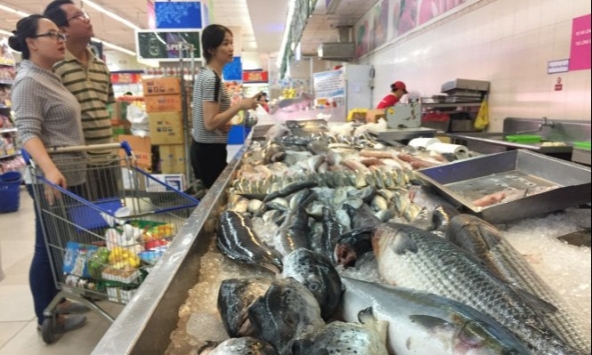 Giá một số loại hải sản tăng mạnh do ảnh hưởng bởi giá xăng dầu