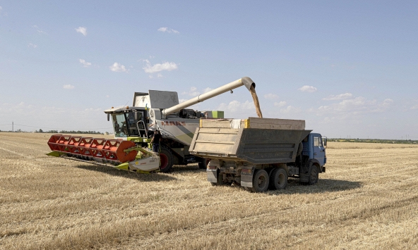 Ukraina dự kiến thu hoạch 50 triệu tấn ngũ cốc