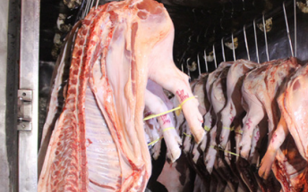 Nhập khẩu thịt giảm mạnh