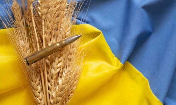 Gần đến vụ thu hoạch, vấn đề xuất khẩu lúa mì của Ukraina lại 'nóng' lên