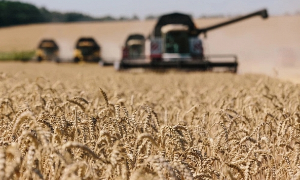 Ukraina và Nga sắp đạt được thỏa thuận về xuất khẩu ngũ cốc