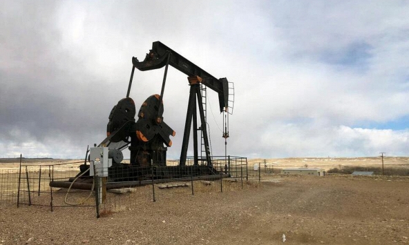 Giá xăng dầu hôm nay 19/7: Dầu Brent lấy lại đà tăng 