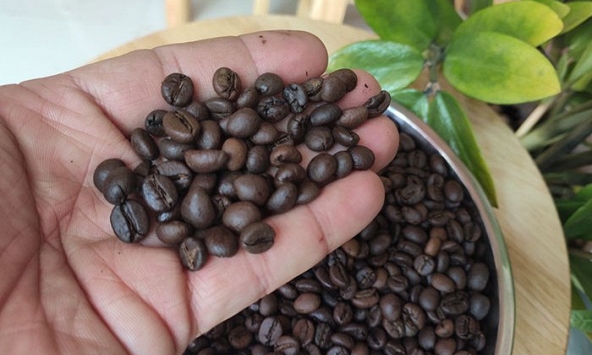 Thị trường cà phê, hồ tiêu khởi sắc