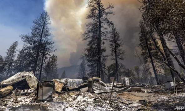 Hàng nghìn ha rừng bị thiêu rụi tại California khi nắng nóng bao trùm nước Mỹ