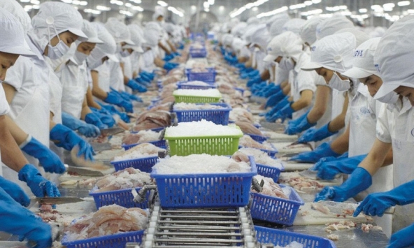 Thực phẩm Sao Ta báo lãi 'khủng' trong quý 2