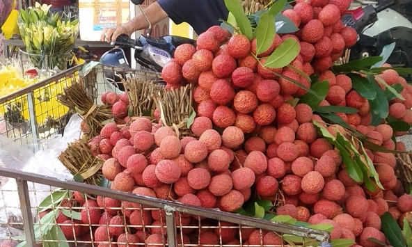 Vải thiều Việt Nam bán tại Mỹ, giá hơn 10 USD/kg