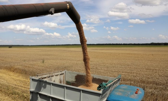 26.000 tấn ngũ cốc đầu tiên của Ukraina đang trên đường đến Lebanon