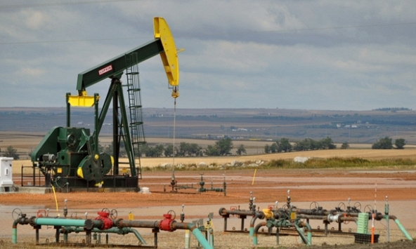 Giá xăng dầu hôm nay 5/8: Xăng, dầu tiếp tục lao dốc