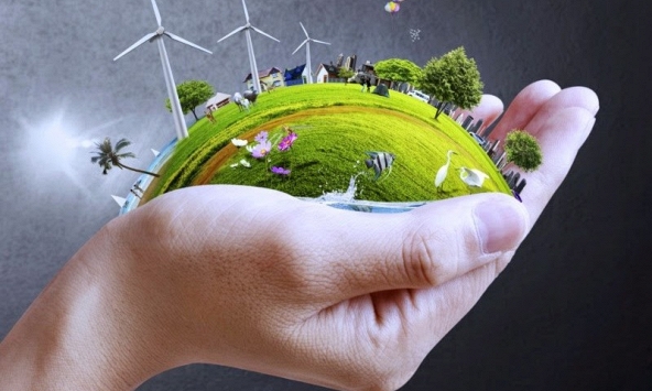 ĐTM là gì? Những điều cần biết về ĐTM