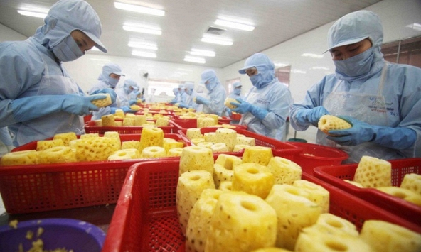 Rau quả Việt Nam xuất khẩu sang Mỹ và châu Âu tăng