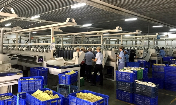 Cổ phiếu khuyến nghị 8/8: VPB, STK, GIL, TNG