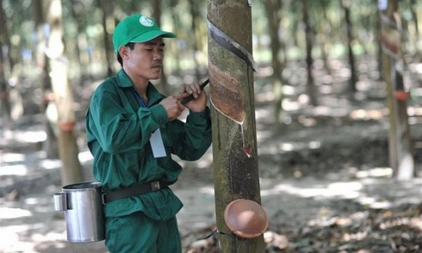 Cổ phiếu khuyến nghị 9/8: ACB, DRC, HPG, VTP, TNH