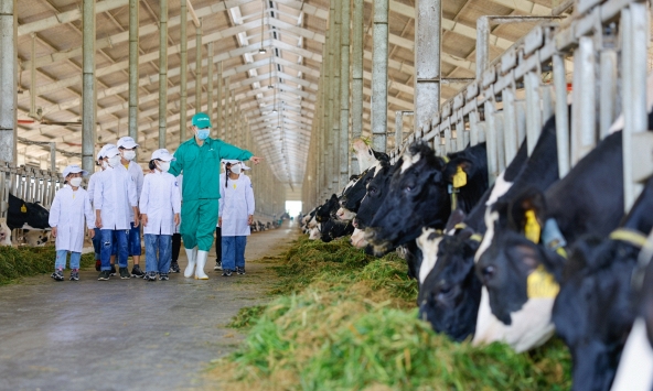 Vinamilk thuộc Top 50 Doanh nghiệp phát triển bền vững tiêu biểu 2022 