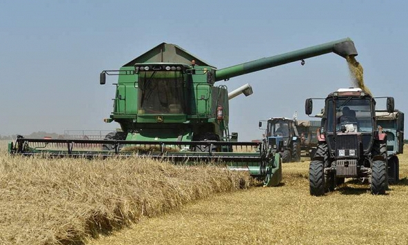Nga vẫn có thể đạt kỷ lục trong vụ thu hoạch ngũ cốc năm 2022