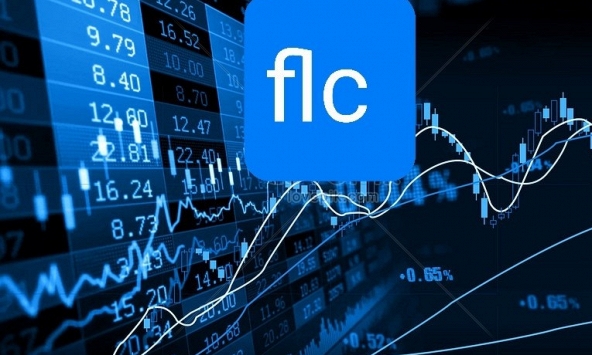 Cổ phiếu FLC khả năng cao sẽ bị đình chỉ giao dịch