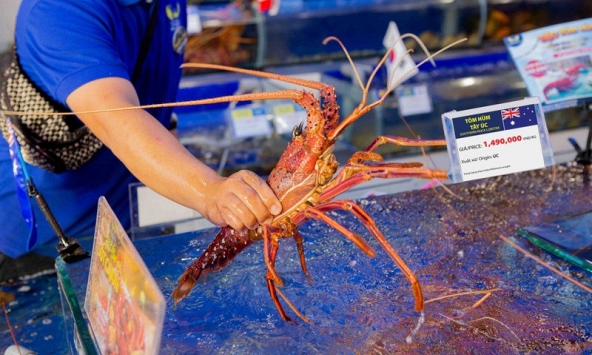 Giá tôm hùm, cá kèo tăng mạnh do khan hiếm nguồn cung