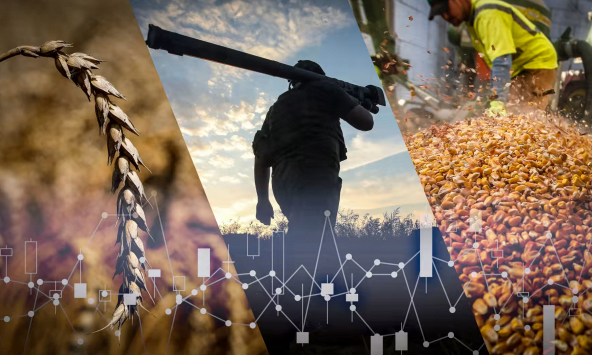 6 tháng chiến sự ở Ukraina: Giá ngũ cốc sẽ giảm?