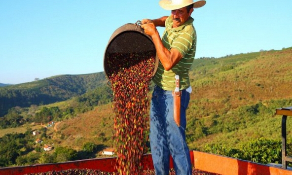 Xuất khẩu cà phê sang Trung Quốc vẫn còn khó khăn