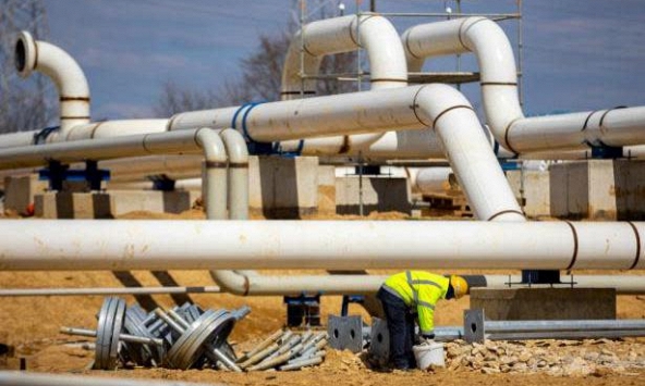 Giá gas hôm nay 25/8: Ổn định