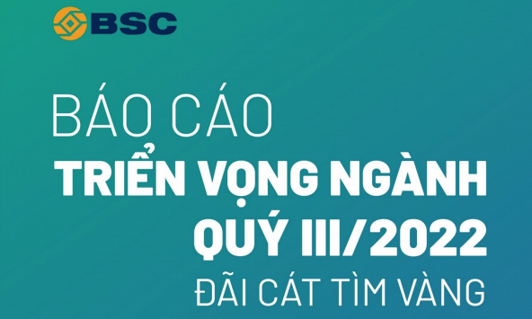 Báo cáo triển vọng ngành quý 3/2022: Đãi cát tìm vàng