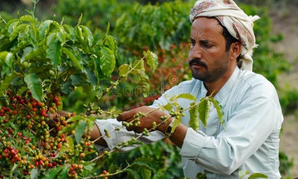 Thị trường nông sản diễn biến khó lường