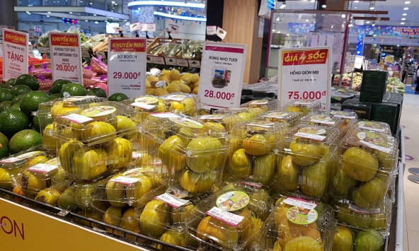 Giá vận chuyển tăng khiến giá hồng Đà Lạt cao hơn năm ngoái 10.000 đồng/kg