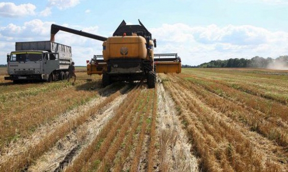 Cơ cấu nông nghiệp của Ukraina thay đổi mạnh mẽ do chiến tranh