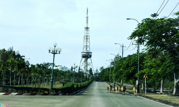 Quảng Ngãi thu hồi 9 dự án hơn 18.000 tỷ đồng của FLC