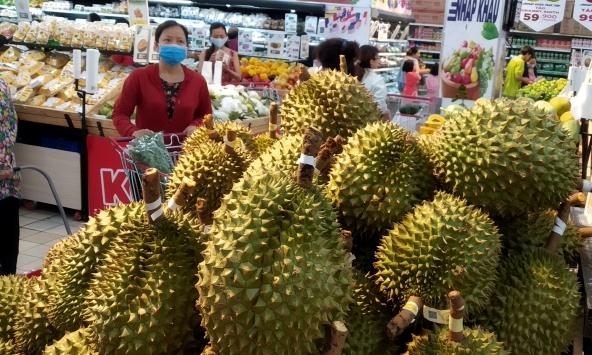 Giá sầu riêng bật tăng trở lại