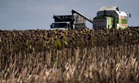 Ngành nông nghiệp Ukraina bị tàn phá nặng nề bởi bom đạn