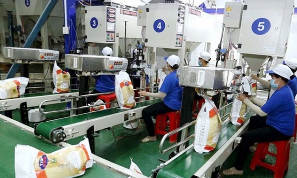 Khuyến nghị cổ phiếu 28/9: HDG, TNG, BAF, GAS