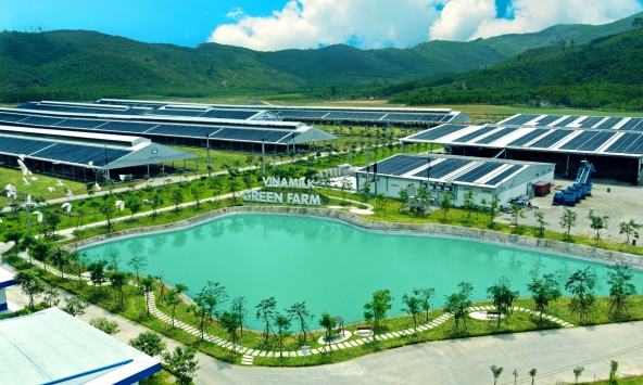 Cổ phiếu Vinamilk 'nâng đỡ' thị trường trước sóng gió bủa vây VN-Index