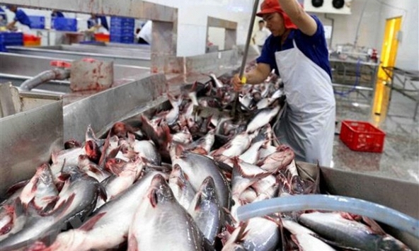 Tăng trưởng GDP trong quý III của Việt Nam đạt gần 14%