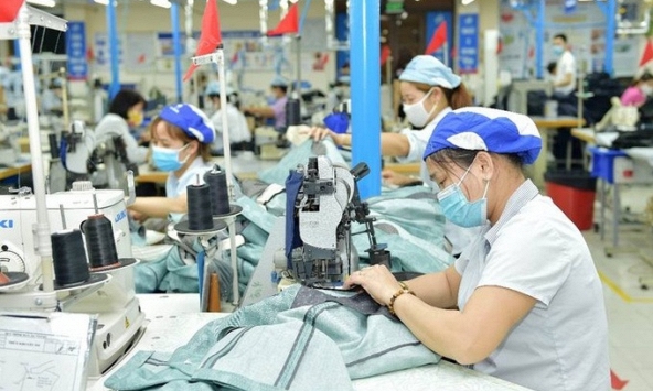 Khuyến nghị cổ phiếu 5/10: DCM, TCM, STK, TNG