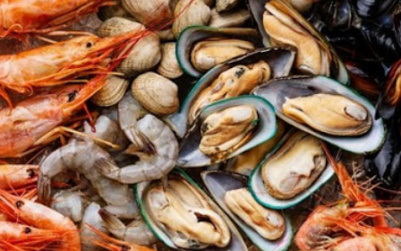 Xuất khẩu thủy sản tháng 9 giảm so với tháng 8 nhưng tăng mạnh so với cùng kỳ năm ngoái