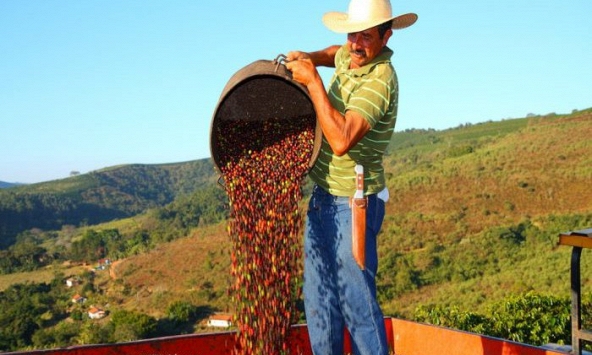 Thị trường nông sản 10/10: Giao dịch vắng lặng