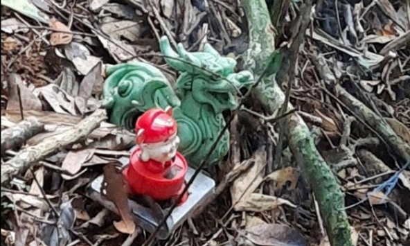 Vụ 2 bộ xương giữa rừng Gia Lai: Hé lộ nguyên nhân 2 cha con tử vong