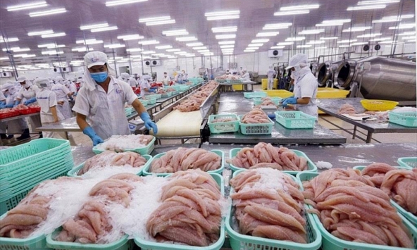 Xuất khẩu thuỷ sản của Việt Nam vào Nga, Mỹ giảm
