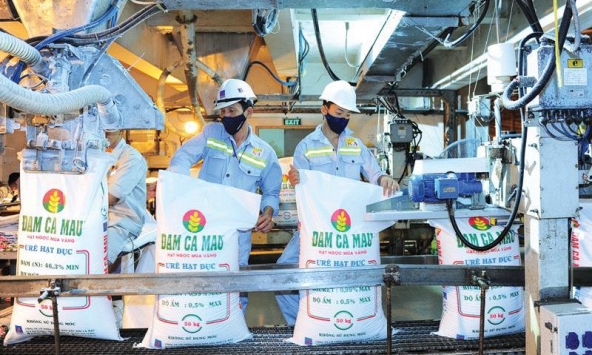 Khuyến nghị cổ phiếu 19/10: IDC, HPG, DPM, VEA