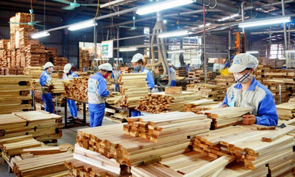 Khuyến nghị cổ phiếu 24/10: TNH, DGC, GDT, REE