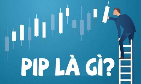 PIP là gì? Những điều cần biết về PIP