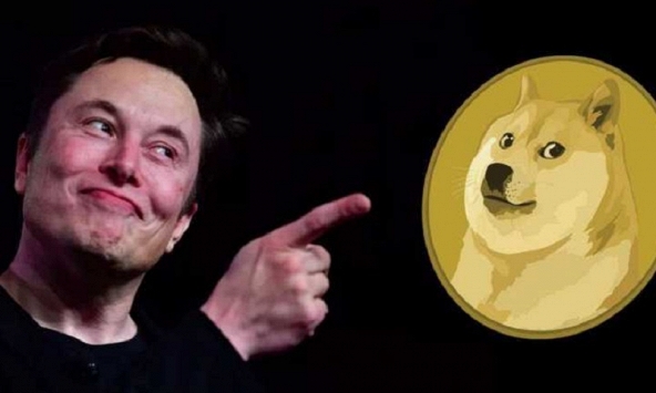 Giá Dogecoin tăng 30% sau khi Elon Musk lên nắm quyền Twitter